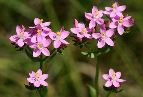 Setting Clear Personal Boundaries