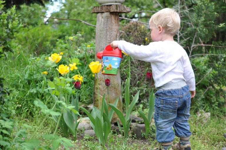 Outdoor STEM Activities to Celebrate Spring