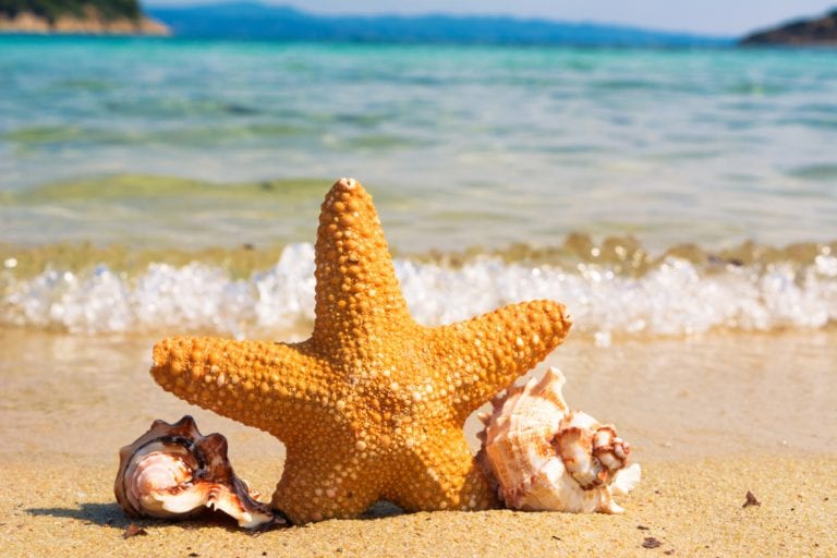 Be Summer Smart