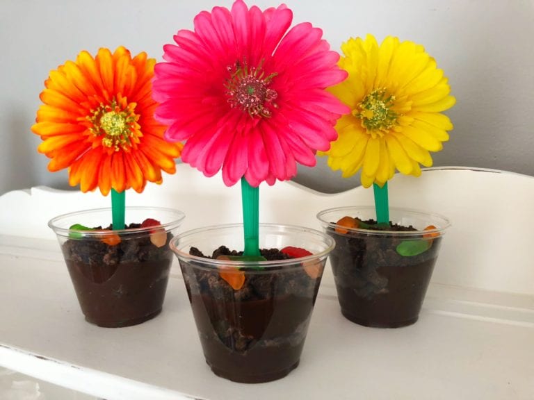 Flower Dirt Sundae Cups