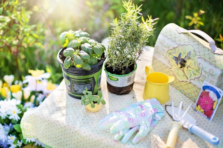 5 Gardening Tips For Avoiding Back Pain