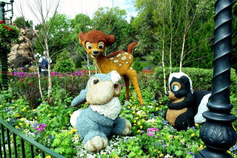 Flower and Garden Festival Experience in Disney World