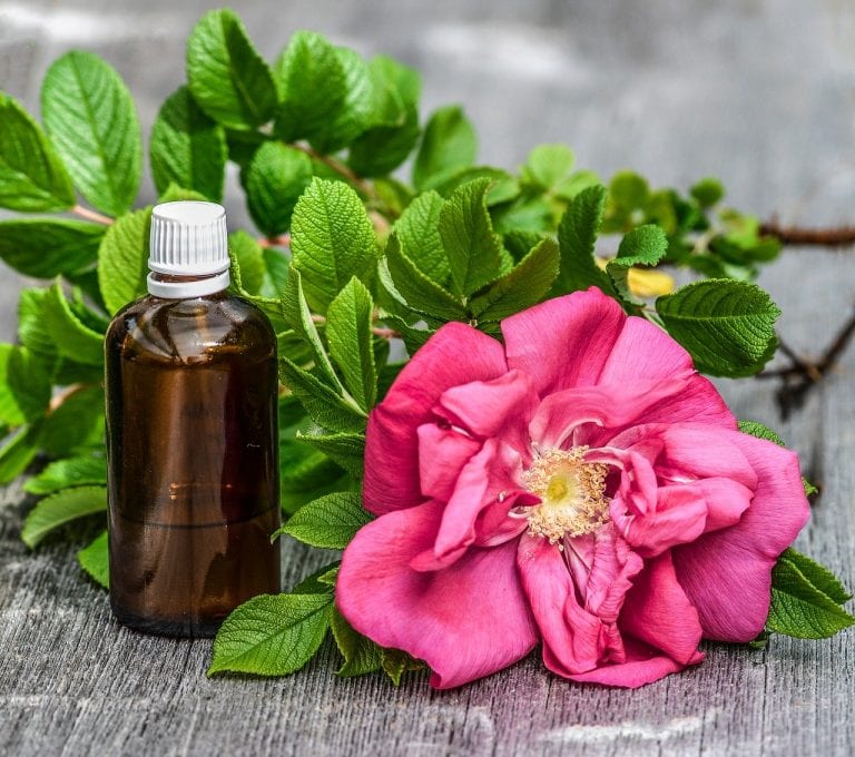 Essential Oils, a Natural Alternative to Insect Repellent