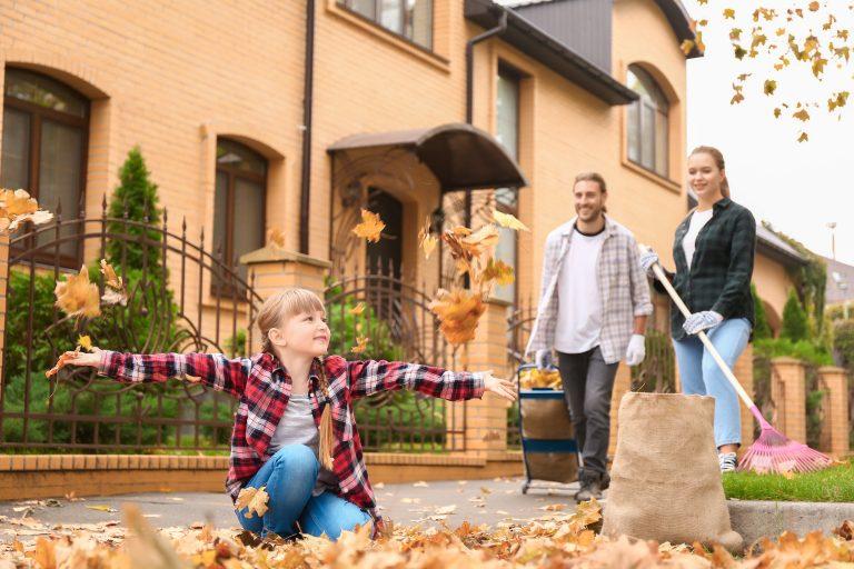 Tips For Cleaning The Yard: Spring and Fall