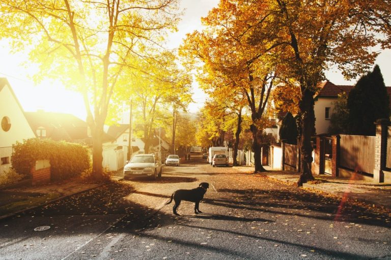 Reasons To Find Who Lives in Your Neighbourhood