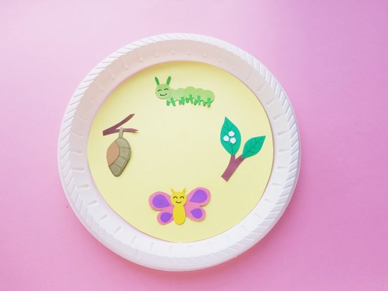 Life Cycle of a Butterfly: Paper Plate Craft