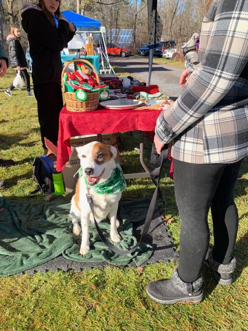 tucker house winter fair in rockland
